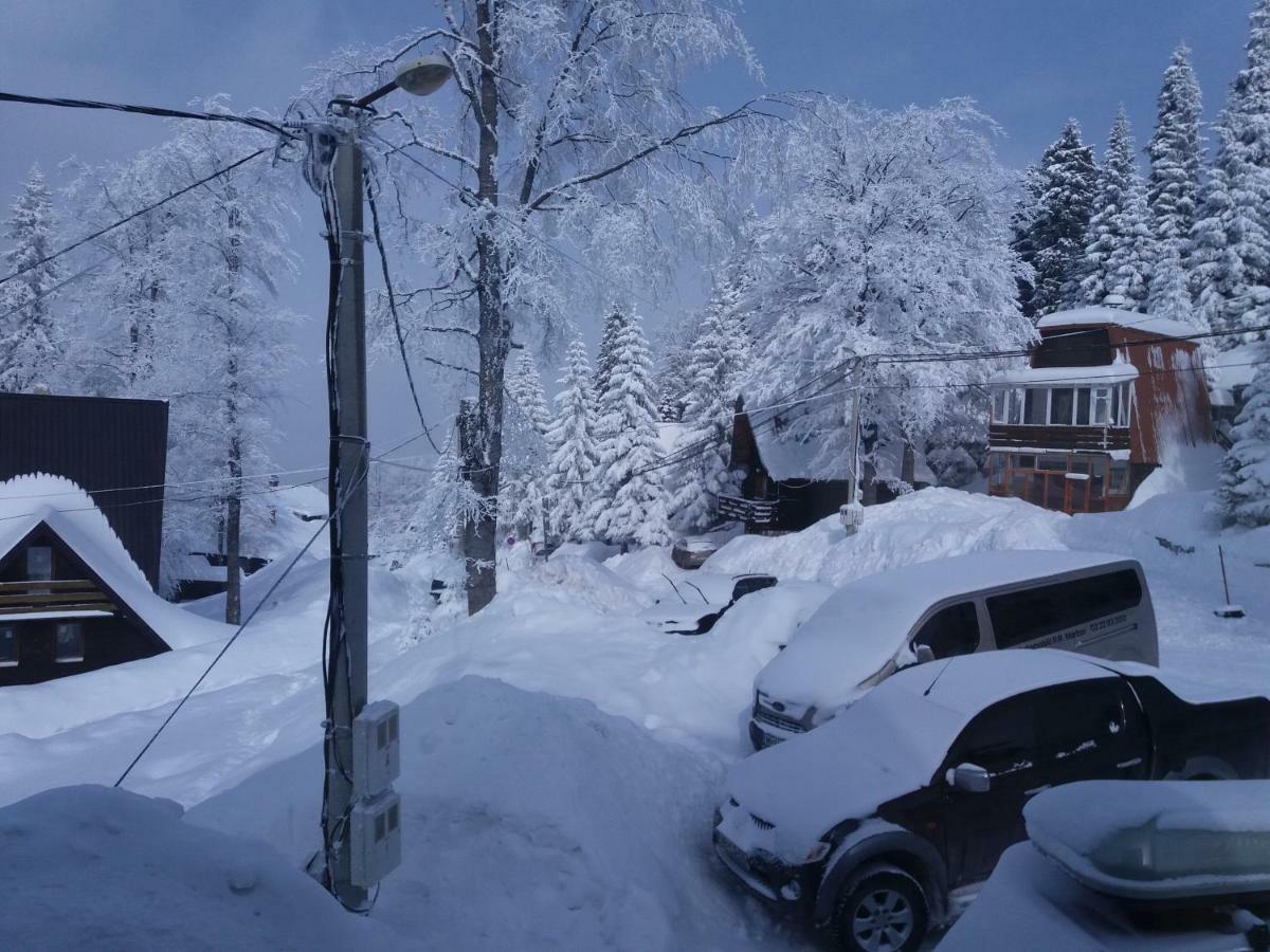 Apartments Artic Τζαχορίνα Εξωτερικό φωτογραφία